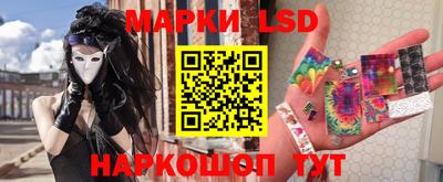 прущие грибы Шахты