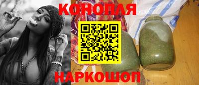 прущие грибы Шахты