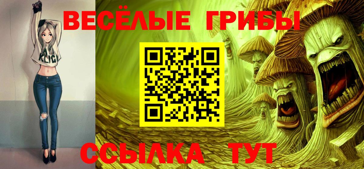 Протвино  Галлюциногенные грибы Magic Shrooms  Вход с VPN 